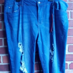 Celebrity Pink dare jeans